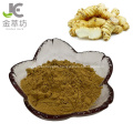 galangal extract powder alpinia officinarum hance extract